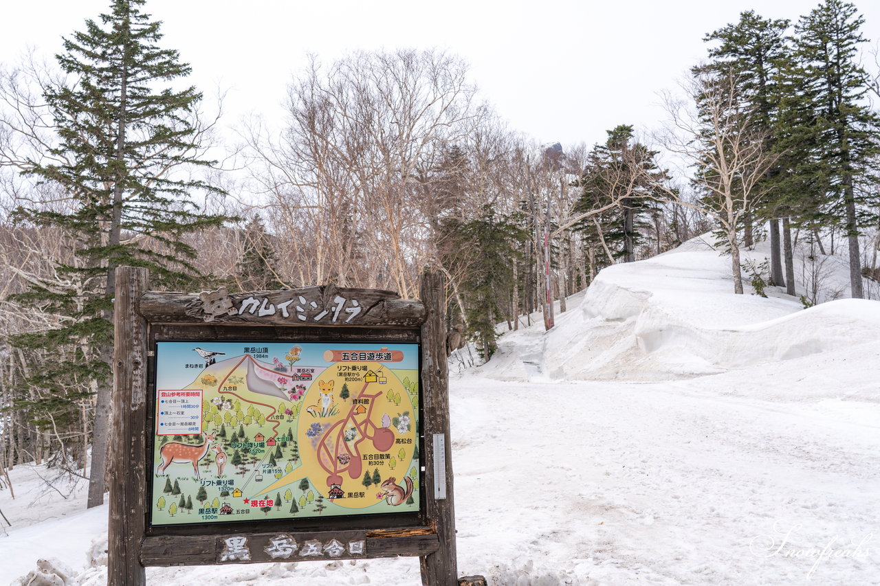 大雪山層雲峡・黒岳ロープウェイスキー場　本日の積雪 310cm。神々の遊ぶ庭でのんびり春スキー＆スノーボードを楽しみましょう♪